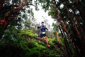 BIB: 
                            <button type="button" onclick="openModal(26201996)" class="btn btn-primary btn-sm float-right btn-popup" data-toggle="modal" data-target=".modal-high-quality">
                        <i class="fas fa-shopping-cart"></i> Add to Cart
                    </button>
                                            <button type="button" onclick="isThisMe(26201996, true)" class="btn btn-success btn-sm float-right btn-popup btn-isme hidden" data-toggle="tooltip" data-placement="bottom" title="นี่คือรูปของคุณใช่ไหม คลิกที่นี่เพื่อเอาเข้าอัลบั้ม">
                        <i class="fas fa-plus"></i> Add to album
                    </button>
                    <button type="button" onclick="isThisMe(26201996, false)" class="btn btn-warning btn-sm float-right btn-popup btn-isnotme hidden">
                        <i class="fas fa-ban"></i> Remove from album
                    </button>